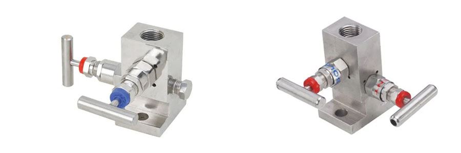 2 Way Manifold Valve T Type Manufacture in India