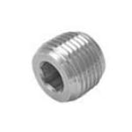 Stainless Steel Hollow Hex Plug Supplier in India
