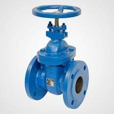 Gate Valves Supplier in India