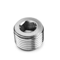 Inconel Hollow Hex Plug Supplier in India