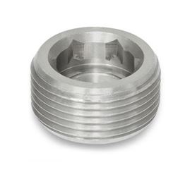 Stainless Steel Blanking Plug Manufacturer in India